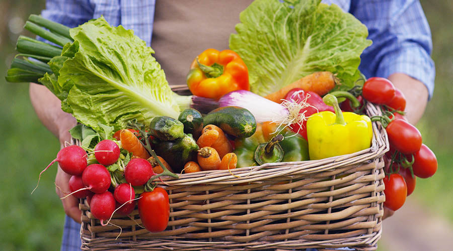 Paniers de Fruits et Légumes Bio -- Panier Solo